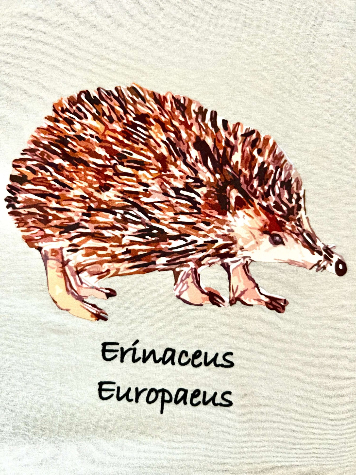 Hedgehog Classic T-Shirt